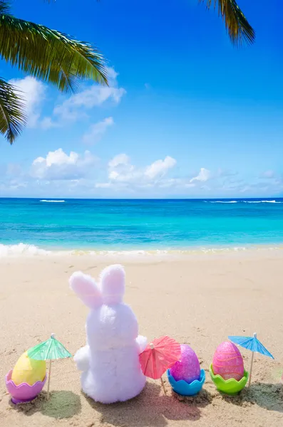 Easter bunny en kleur eieren op het strand — Stockfoto