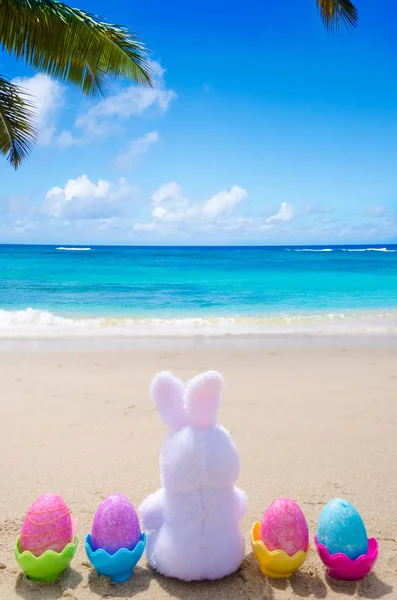 Easter bunny and color eggs on the beach — Stock Photo, Image