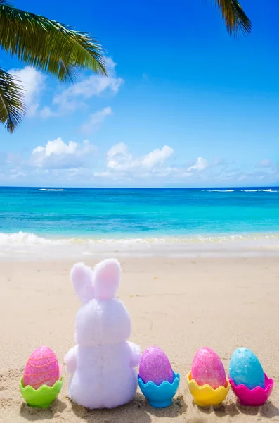 Easter bunny and color eggs on the beach — Stock Photo, Image