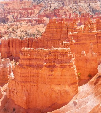 Bryce Kanyonu
