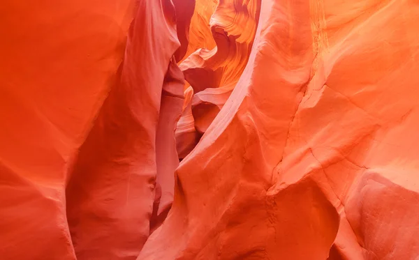 Canyon de l'antilope inférieure — Photo