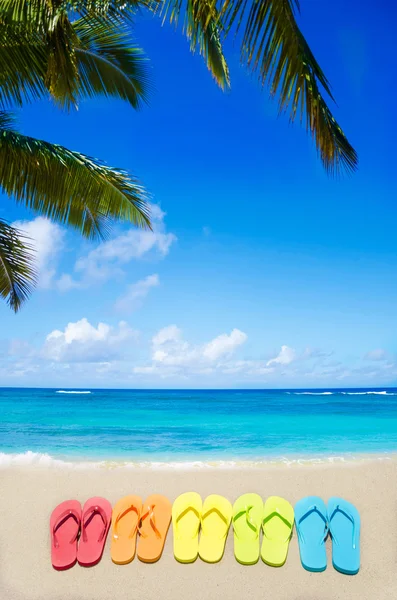 Color flip flops by the ocean — Stock Photo, Image