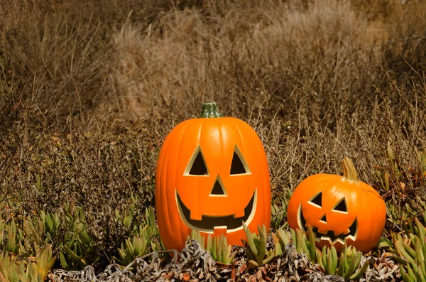 Halloween tök a fűben — Stock Fotó