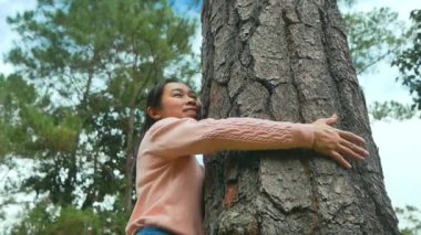 Dişi, ormanda büyük bir ağaca sarılıyor. Koruma ve aşk doğa kavramları.