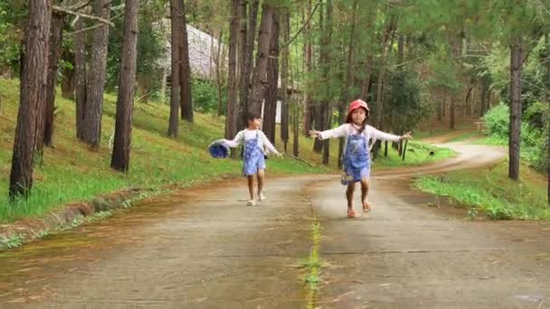 Two Little Sisters Holding Each Other Hands Running Forward Pine — Stock Video