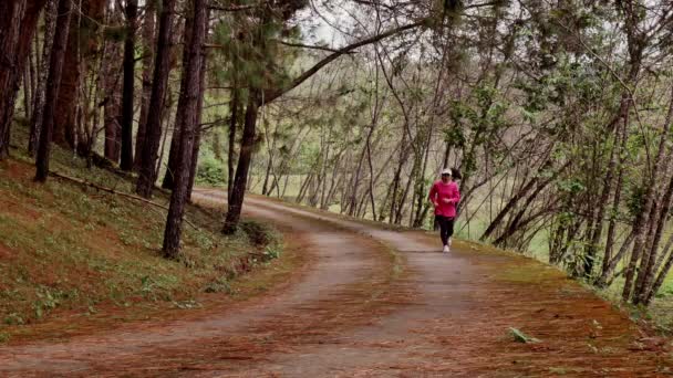 田径上的女运动员在池塘边的小径上跑步健身 女赛跑选手早上在大自然中奔跑 健康生活方式的概念 — 图库视频影像