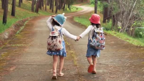 Two Little Sisters Holding Each Other Hands Running Forward Pine — Stock Video