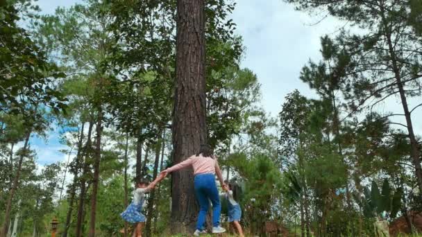 Familia Feliz Camina Mano Alrededor Gran Árbol Familia Feliz Jugando — Vídeo de stock