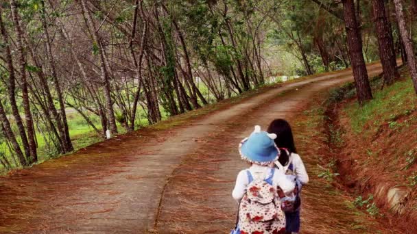 Two Little Sisters Holding Each Other Hands Running Forward Pine — Stock Video