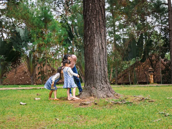 Madre Hijas Explorando Naturaleza Gran Árbol Por Mañana Familia Feliz — Foto de Stock