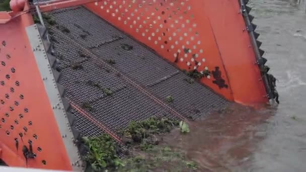 Worker Weed Clearing Water Tractor Aquatic Weed Harvester Piling Weeds — Stock Video