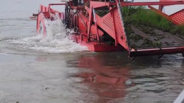 Arbetare Ogräsrensande Vattentraktor Eller Akvatisk Ogrässkördare Staplar Ogräs Pråm Vid — Stockvideo