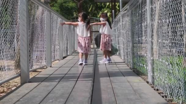 2人の素敵な姉妹は 動物園で鹿に餌を与えるためにフェンスで囲まれた木製の歩道を歩く 休暇で彼女の家族と過ごす素晴らしい時間 — ストック動画