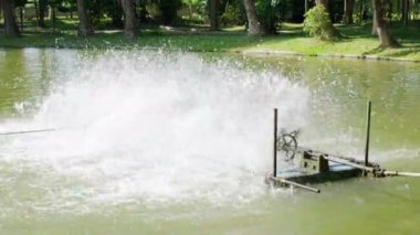 Havalandırma pedalı havuzda aktif. Parktaki suda çözünen oksijeni artırmak için. Su türbinleri suyun çürümesini önlemek için çalışıyor..