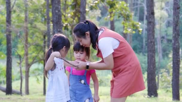 Een Jong Meisje Wordt Gebeten Door Insecten Terwijl Activiteiten Doet — Stockvideo
