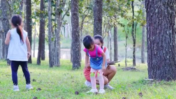 母亲和两个女儿在森林的野营地拾柴和燃起篝火 家人和孩子在大自然的树林里生火 家庭露营 一起度假 — 图库视频影像