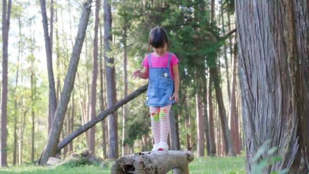 Słodka Dziewczynka Próbuje Chodzić Pniu Parku Dziecko Płaczące Równoważni Zabawa — Wideo stockowe