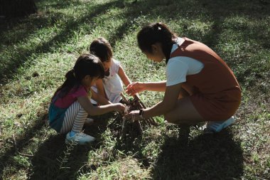 Anne ve iki kızı ormandaki kamp yerinde odun topluyor ve ateş yakıyor. Aile ve çocuklar doğa ormanlarında kamp ateşi yakıyor. Aile kampı, tatilde birlikte zaman geçirmek..