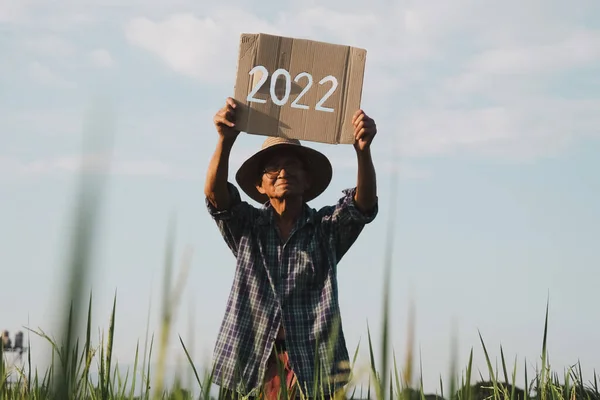 Silhouette Senior Farmer Standing Rice Field Sunset Holding New Year — Stock Photo, Image