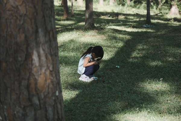 Şirin Küçük Kız Parkta Ailesiyle Saklambaç Oynarken Gözleri Kapalı Çimlerin — Stok fotoğraf