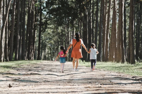 Madre Dos Hijas Tomadas Mano Dar Paseo Por Bosque Pinos — Foto de Stock