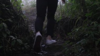 Doğayı görmek için dağları ve ormanları gezen bir grup Asyalı turist. Vahşi yaşam kavramlarında gezinme ve iz sürme aktiviteleri.