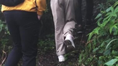 Doğayı görmek için dağları ve ormanları gezen bir grup Asyalı turist. Vahşi yaşam kavramlarında gezinme ve iz sürme aktiviteleri.