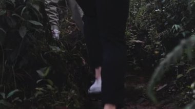 Doğayı görmek için dağları ve ormanları gezen bir grup Asyalı turist. Vahşi yaşam kavramlarında gezinme ve iz sürme aktiviteleri.