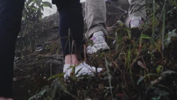 Asiaturistenes Ryggsekkturisme Gjennom Skog Fjell Naturen Ute Trekking Stigeaktivitet Viltkonsepter – stockvideo