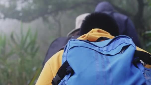 Grupa Azjatyckich Turystów Plecak Przez Lasy Góry Aby Zobaczyć Przyrodę — Wideo stockowe