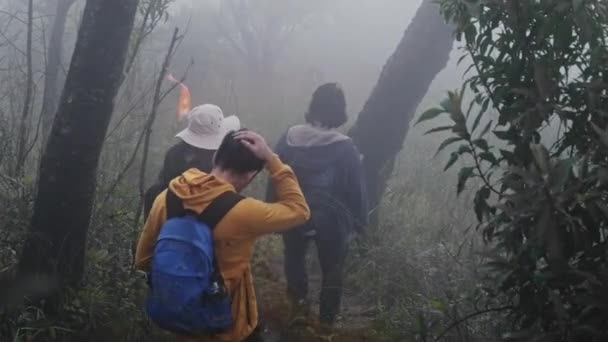 Gruppo Turisti Asiatici Zaino Spalla Attraverso Foreste Montagne Vedere Natura — Video Stock