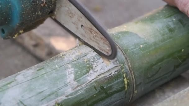 Close Sawing Green Bamboo Chainsaw Use Traditional Handicrafts — Stockvideo