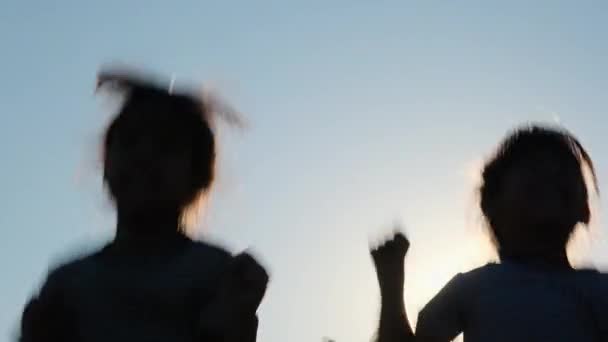 Silhouette Happy Sisters Raising Hands Jumping Summer Garden Sunset Cheerful — Stok video
