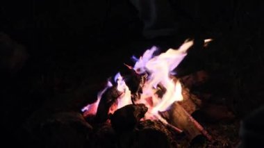 Geceleri ormanda kıvılcımlar saçan şenlik ateşi. Kamp ateşi..