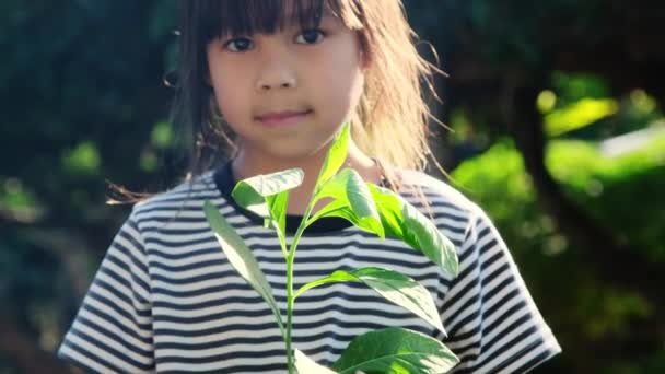 緑の背景春の生態系の概念に対してポットで若い木を保持かわいいアジアの小さな子供の女の子 世界環境デー — ストック動画