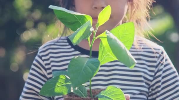 Schattig Aziatisch Klein Kind Meisje Houden Jonge Boom Pot Tegen — Stockvideo