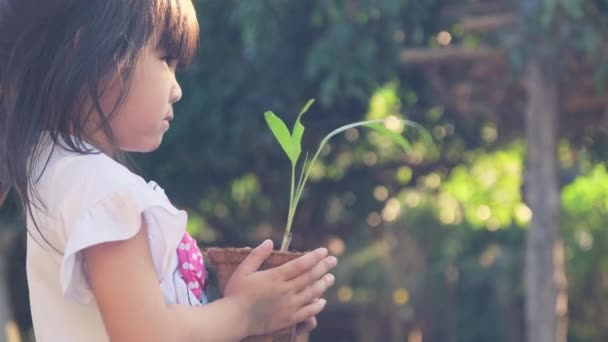 かわいい女の子は彼女の妹に緑の背景春の生態学の概念を持つ鍋に小さな植物を与えます 世界環境デー — ストック動画
