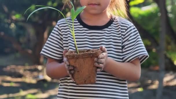 Niedliche Asiatische Kleines Mädchen Hält Jungen Baum Topf Vor Grünem — Stockvideo
