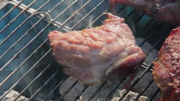 Delicioso Cerdo Parrilla Parrilla Con Humo Llamas Close Cocinar Camping — Vídeos de Stock