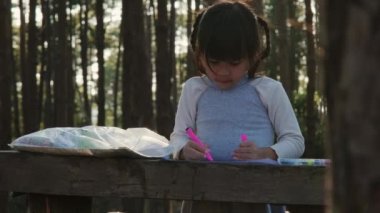Çam ormanındaki bir kamp alanında resim boyayan küçük bir kız. Küçük çocuk için yaratıcı bir eğlence. Çocuklar tatilde aileleriyle vakit geçirirler..