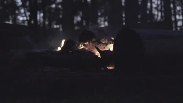 Fogueira Com Faíscas Acampamento Floresta Noite — Vídeo de Stock