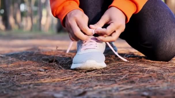 女跑步者跪在地上系鞋带 准备早上在森林小径上奔跑 — 图库视频影像