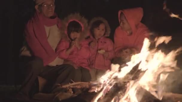 家族は森のキャンプファイヤーの近くで暖まり 会話をしています 松の森の中でたき火の近くの夜のキャンプ 観光とキャンプのコンセプト — ストック動画