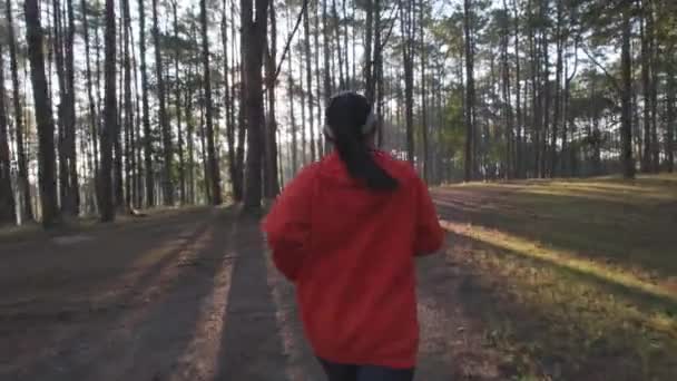 在森林小径上跑步的女运动员 女赛跑选手早上在大自然中跑步 健康生活方式的概念 — 图库视频影像