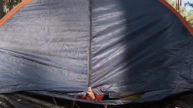 Çadırda neşeli çocuklar. Çocuklar kamp alanında kamp tatilinin tadını çıkarıyorlar..