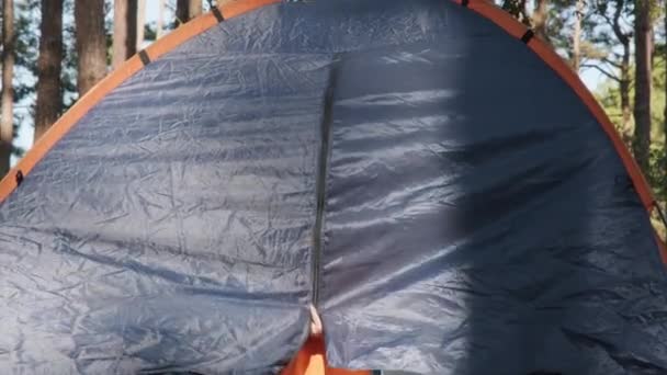テントの中で楽しい子供たち 子供たちはキャンプ場でキャンプ休暇を楽しんでいます — ストック動画