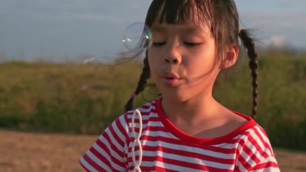 Schattig Meisje Dat Zeepbellen Blaast Het Zomerpark Bij Zonsondergang Kinderen — Stockvideo