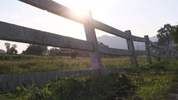 Cerca Branca Campo Pôr Sol — Vídeo de Stock