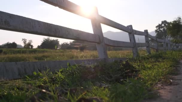 夕暮れ時の田舎の白い柵 — ストック動画