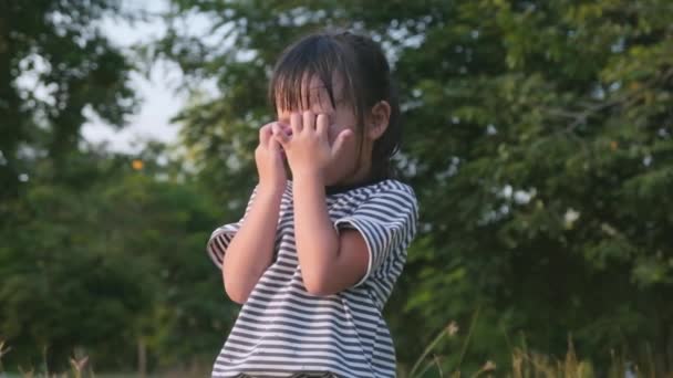Glückliches Asiatisches Kleines Mädchen Bedeckt Ihre Augen Während Park Verstecken — Stockvideo